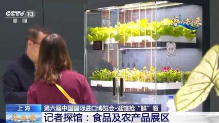 不再只是玉米和白菜 ? ? ? ?  記者在“四葉草”發現，進博會 “養成”的農業未來想象體綜合體驗 \u3010\u4eca\u5c4a\u6295\u505c\u7576\u201centailles =Bags +？} iThink？